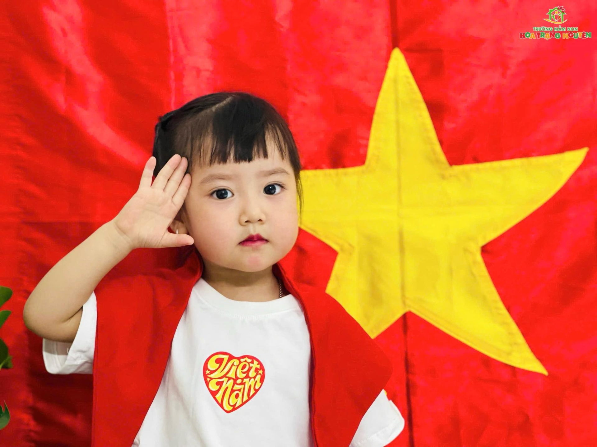 Rực rỡ sắc đỏ tự hào Việt Nam tại Hoa Trạng Nguyên